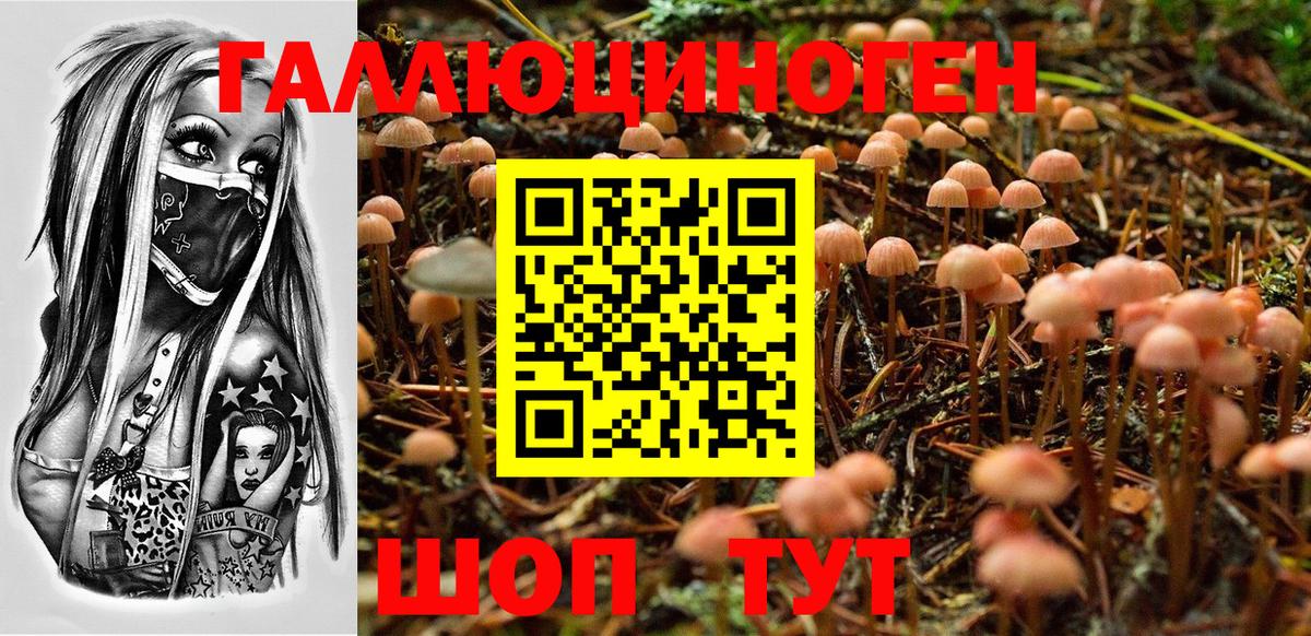 Галлюциногенные грибы прущие грибы  Вход с VPN  Кирово-Чепецк  Галлюциногенные грибы прущие грибы 